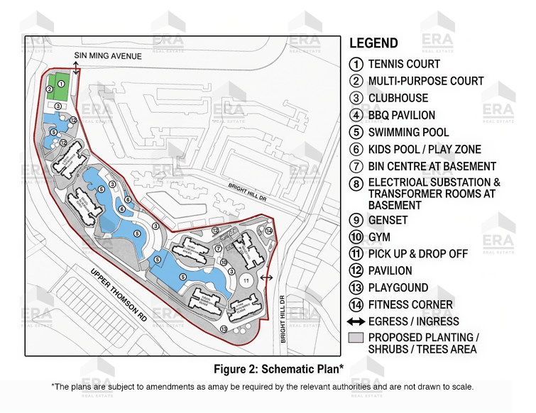 Coloured Thomson Reserve preliminary site plan showing pools, clubhouse, tennis court and facility layout.